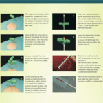 T-Handle Bone Marrow Biopsy Needles
